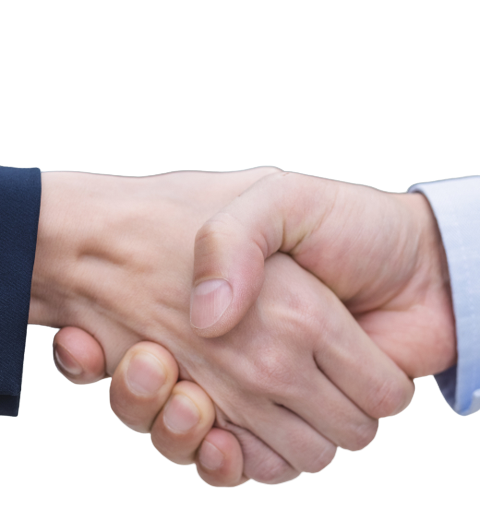 Olimpia Restoration about