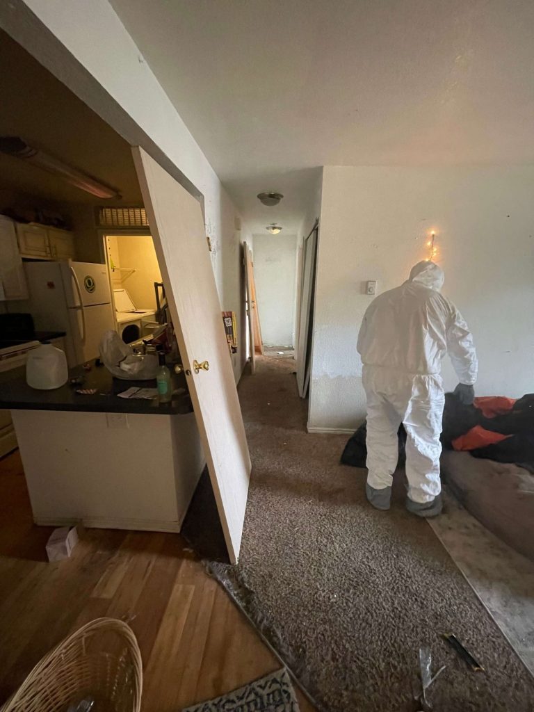 Olimpia Restoration Olimpia