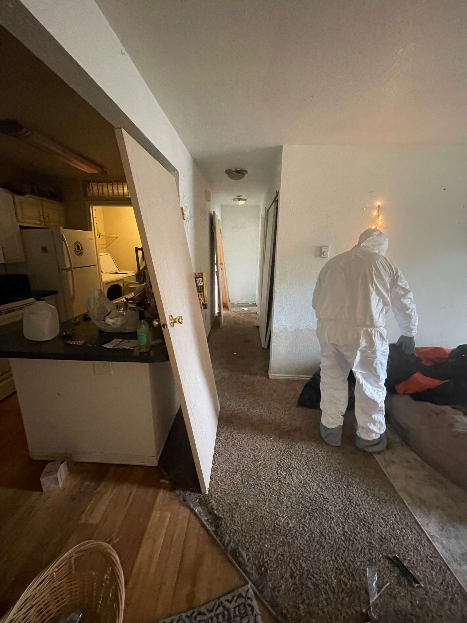 Olimpia Restoration trauma