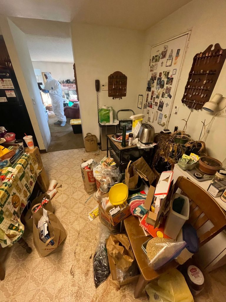 Olimpia Restoration Olimpia