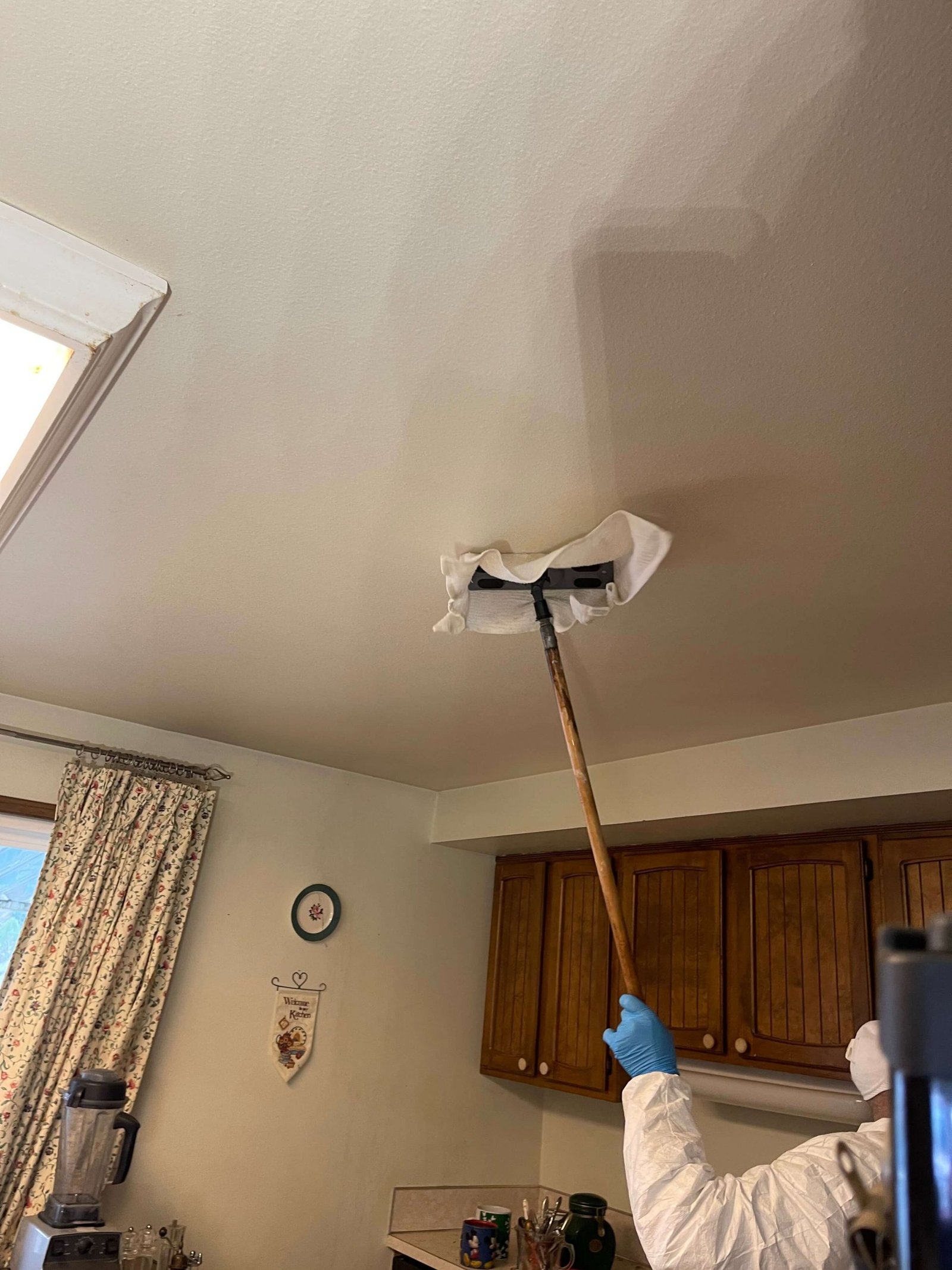 Olimpia Restoration mold remediation